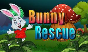 play Bunny Rescue