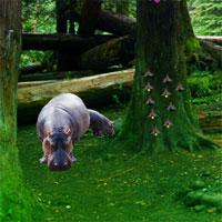 play Hippo Jungle Escape