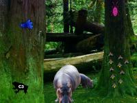 play Hippo Jungle Escape