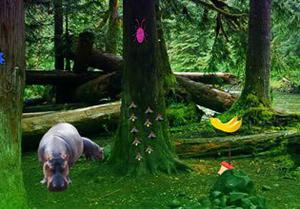 play Hippo Jungle Escape