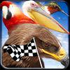 Bird Race 3D