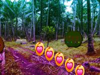 play Easter Bunny Coconut Farm Rescue