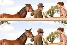 War Horse