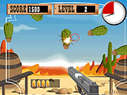 play Shooting Bottle