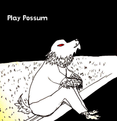 play Play Possum