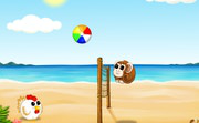 play Beachball.Online