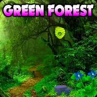 Escape The Green Forest