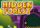 play Hidden Forest Escape