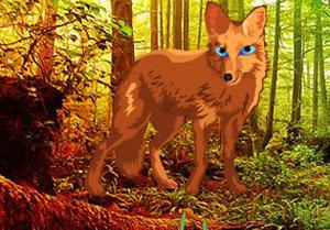 play Fox Land Escape