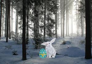 play Frozen Easter Forest Escape