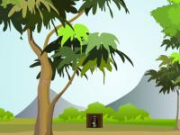play Zz Escape The Tortoise