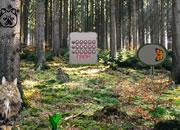 play Norwegian Cat Forest Escape