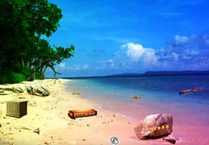 play Rescue Turtle From Island