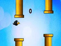 play Flappy Kaakka