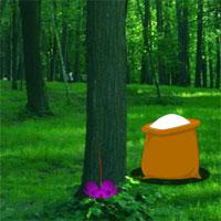 play Deer Range Forest Escape