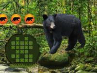 play Bear Land Escape