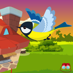 play Cute Bird Escape