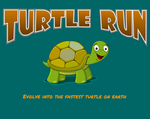 play Turtle Run