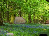 play Easy Escape Lake Forest