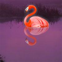 play Escape The Pink Flamingo Bird