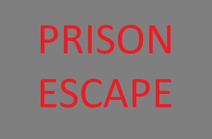 play Prison Escape (Text Story Game)