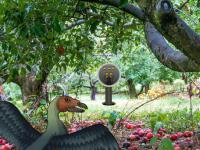 play Archaeopteryx Bird Forest Escape