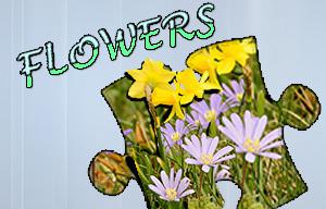 play Jigsaw Puzzle: Flowers