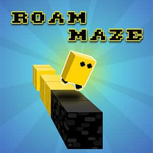 play Roam Maze