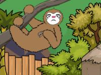 play Feed To The Koala