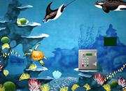 play Elephantnose Fish Escape