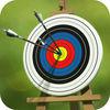 Archery Target Master Pro