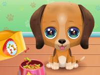 play The Cute Puppy Care