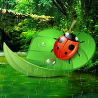 play Ladybug Rainforest Escape