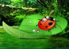 play Games2Rule Ladybug Rain Forest Escape