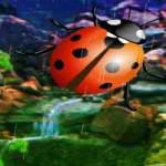 play Ladybug Rainforest Escape