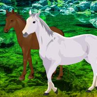 play Big Horse Land Escape