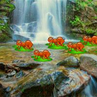 play Avmgames-Waterfall-Forest-Escape