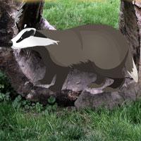 play Wild Badger Rescue