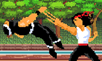 Kung Fu Fight Beat Em Up