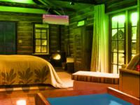 play Wooden Duck House Escape