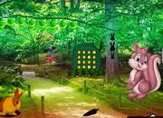 play Funny Bunny Garden Escape