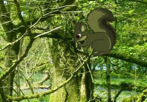 play Green Bush Squirrel Forest Escape