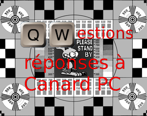 play Qwestions Réponses À Canard Pc
