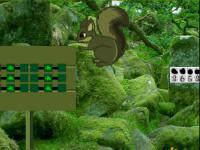 play Green Bush Squirrel Forest Escape
