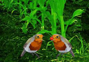 play Vegetable Forest Garden Escape