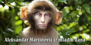 play Majmun