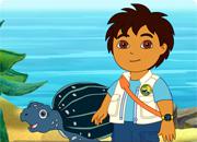 Diego'S Tuga The Sea Turtle