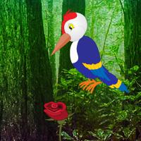 play Woodpecker Forest Escape