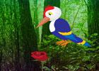 play Wood Pecker Forest Escape