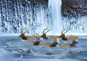 play Frozen Land Elk Rescue